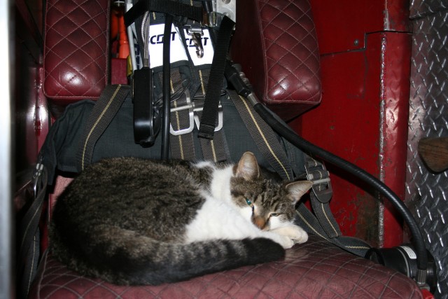 Fred ready for the next job